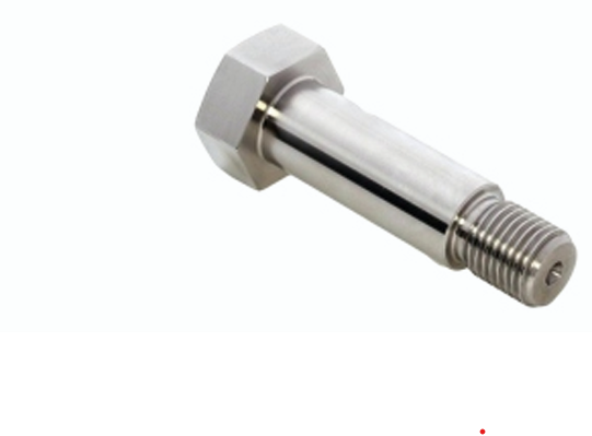 Eye Bolt